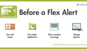 Before Flex Alert Program - California ISO